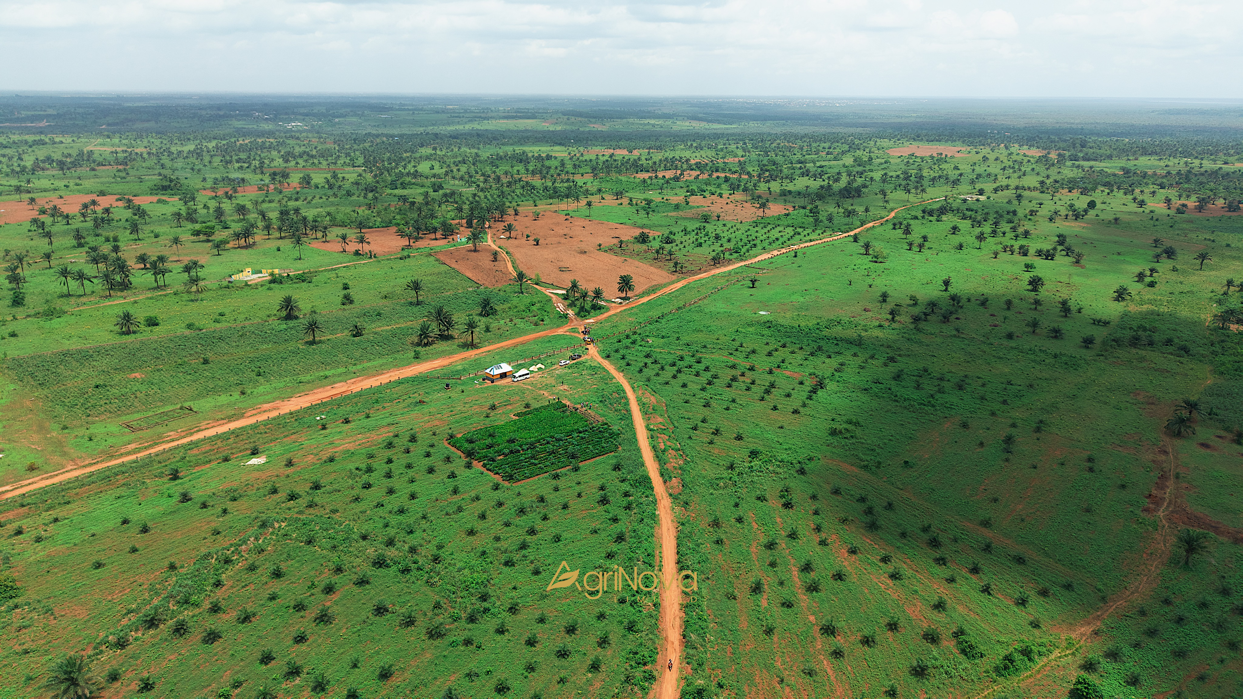 Access Road to Nova Palm City